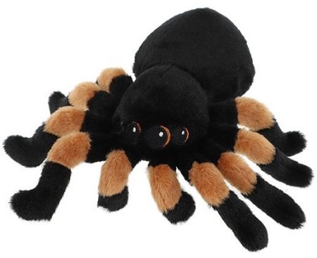 Pavouk Tarantule 15 cm