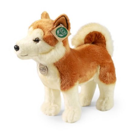 Plyšový pes Akita Inu 30 cm