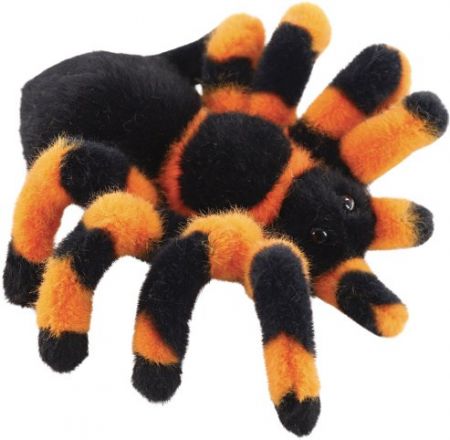 Pavouk tarantule 18 cm