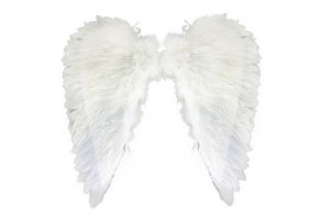 Křídla andělská z peří (karnevalový-mikulášský-doplněk)