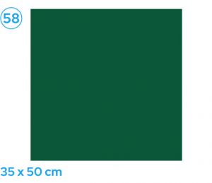 Papír barevný 35 x 50cm zelený tmavě