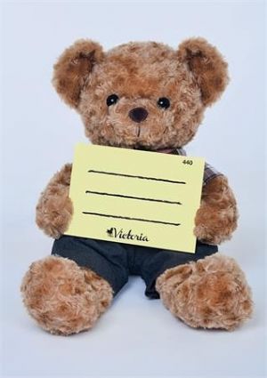 Školní sešit 440 "Medvídek s cedulkou", A4 čistý, 40 listů, VICTORIA