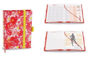 Motivační diář MOTY - B6 - lamino - Červený / BUM9-1 / Baloušek tisk