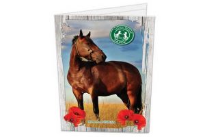 Desky na písmenka Lucky Horse