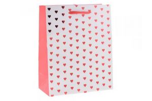 Dárková taška 20x25x10cm Srdíčka