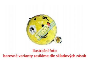 Míč fotbalový obličej zvířátko šitý 22 cm