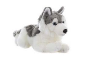 Plyš Husky 31cm
