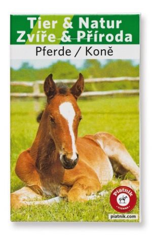 PIATNIK Kvarteto - Koně (plastová krabička) (CZ)