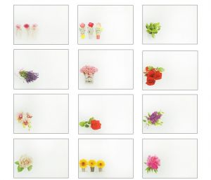 Obálka s potiskem 80g B6 125x176mm - Květy, mix