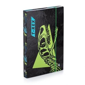 Box na sešity A4 T-rex