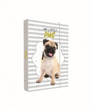 Box na sešity A5 pes