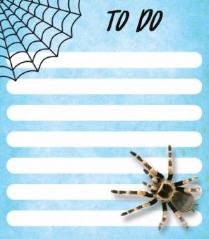 SN-16 Samolepící papírky 7x8cm 100 listů- PAVOUK