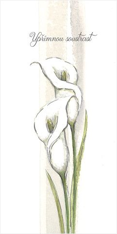 Blahopřání "NP" Celorok 312 kaly