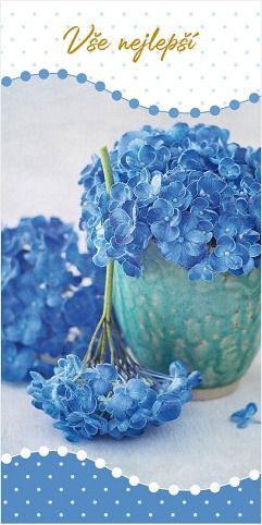Blahopřání "NP" Celorok 346 hortenzie