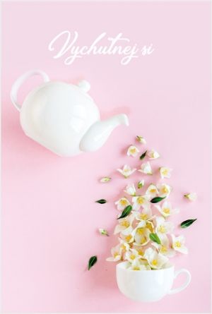 Blahopřání "NP" Celorok 455 konvice