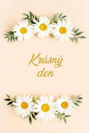 Blahopřání "NP" Celorok 456 kopretiny