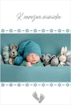 Blahopřání "NP" Celorok 457 kluk