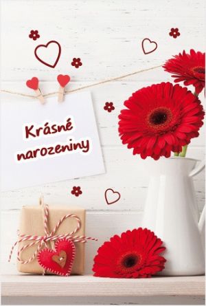 Blahopřání "NP" Celorok 469 gerbery