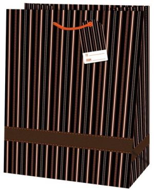 Dárková taška velká o rozměrech 26,7x33x13,7 cm s motivem pruhů
