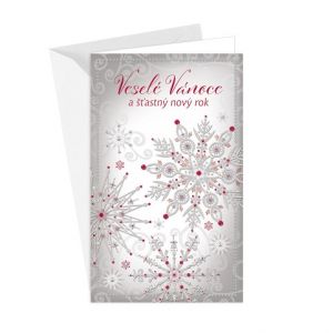 ARGUS Vánoční přání 11-6486c