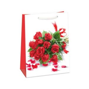 ARGUS Dárková papírová taška (23 x 32 cm) 07570702h