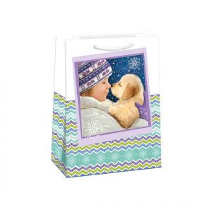 ARGUS Dárková papírová taška (23 x 32 cm) 08530409