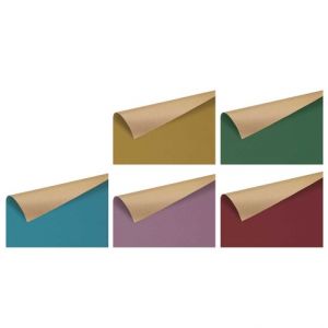 ARGUS Balící papír NATUR arch 200x70 MIX box 50 rolí 09320003