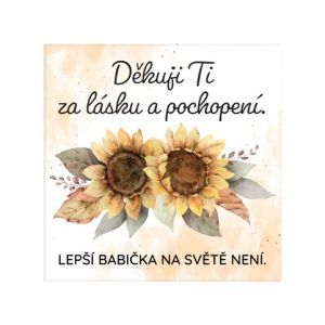 ALBI Magnetka - Pochopení