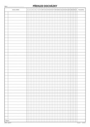 Přehled docházky