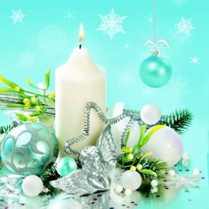 Ubrousky DAISY L (20ks) Xmas White and Blue Decore