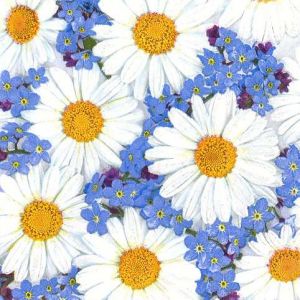 Ubrousky MAKI L (20ks) Daisies and Forget-me-nots