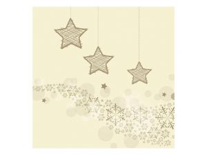 Ubrousek P 33x33 vánoční MES100073