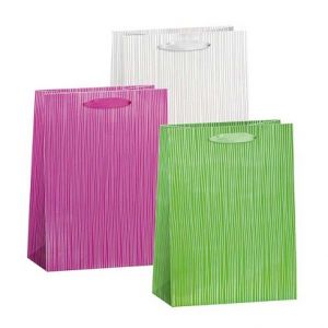 ARGUS Dárková papírová taška (29 x 38 cm) mix 12 ks 77810000h