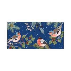 ALBI Vánoční kapsa na peníze - Ptáčci