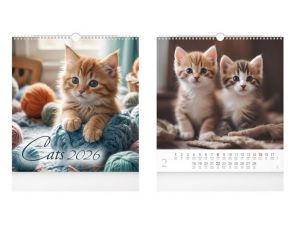 Kalendář 2026 nástěnný malý Cats