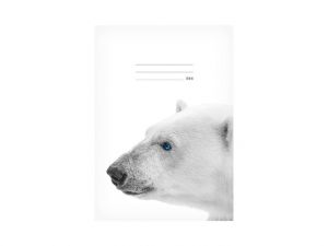 Školní sešit LUX A5 544