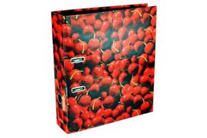 HERLITZ Pořadač pákový lamino A4 8cm Třešně