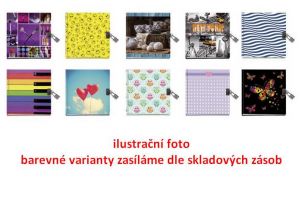 Deník se zámkem 15x18cm 21783