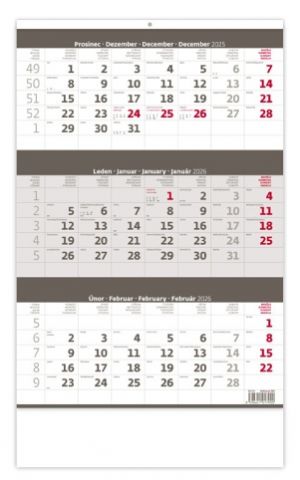 Kalendář nástěnný Tříměsíční šedý 2026 / 52cm x 31,5cm / N204-26