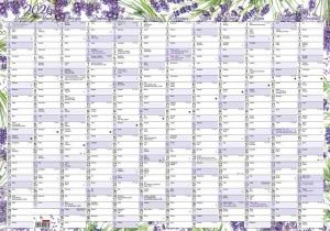 Kalendář nástěnný roční (600x420 mm) - Levandule 2026 / 42cm x 60cm / BKA1-26