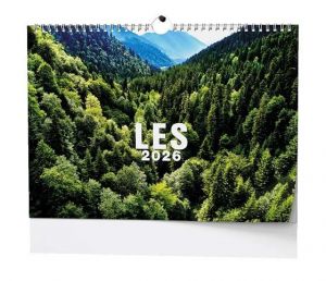 Kalendář nástěnný Les 2026 / 32cm x 45cm / BNK22-26