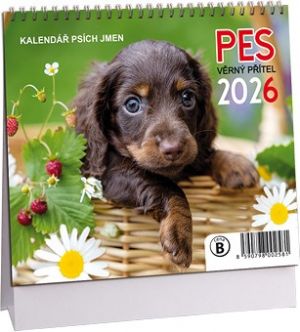 Kalendář stolní MINI Pes - věrný přítel 2026 / 17cm x 14,5cm / K767