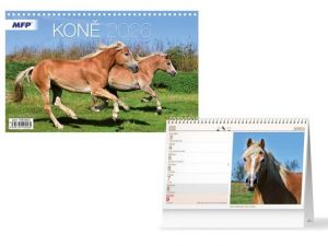 Kalendář stolní Koně 2026 / 23cm x 23cm / 1061653