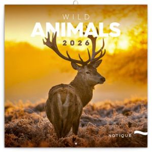 Kalendář nástěnný poznámkový Divoká zvířata 2026, 30 x 30 cm / PGP-35487-V