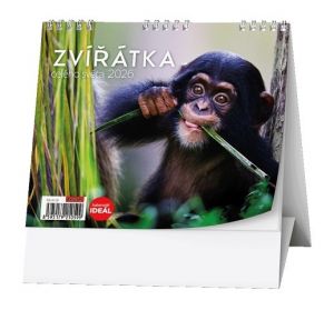 Kalendář stolní IDEÁL - Zvířátka celého světa 2026 / 13,5cm x 16,5cm / BSJ6-26