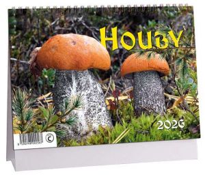 Kalendář stolní Houby 2026 / 23cm x 16cm / K793