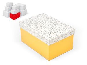 Krabice dárková B-C012-E 24x16x12cm