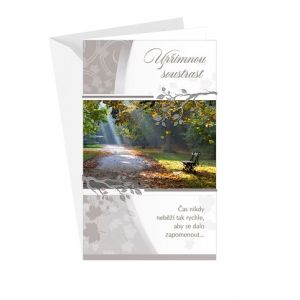 ARGUS Kondolence Úpřimná soustrast 14-628c