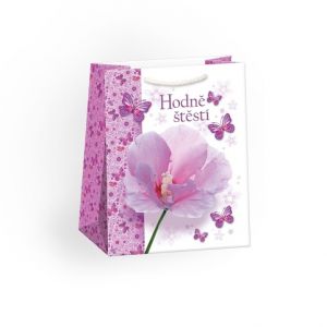 ARGUS Dárková papírová taška T4 (19 x 23 cm) 07460520c