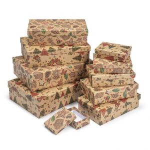 ARGUS Sada 10 ks dárkových krabic vánoční natur kraft 25008169